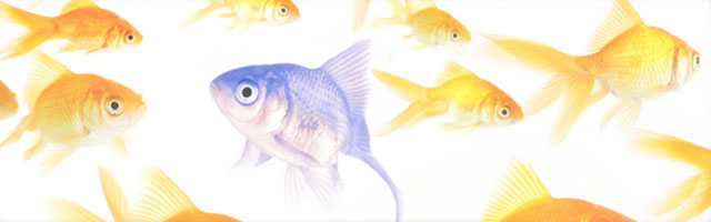 website-designing-marketing-seo-services-pune-india